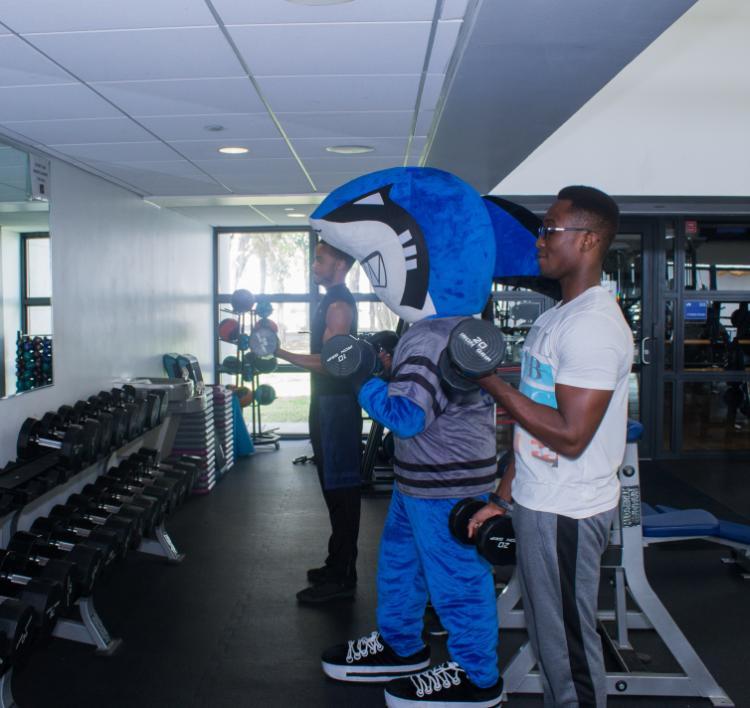 Finn at the Gym