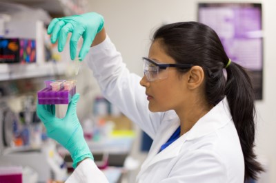 Student looking at samples